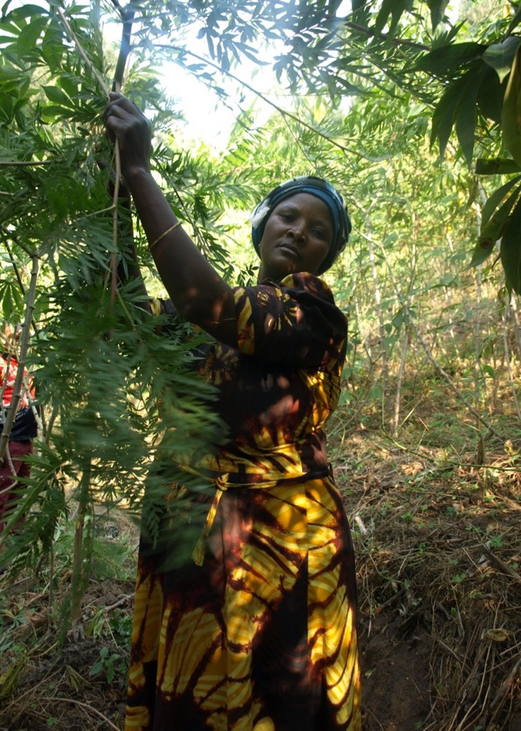 Madame SIfa Kafurhu