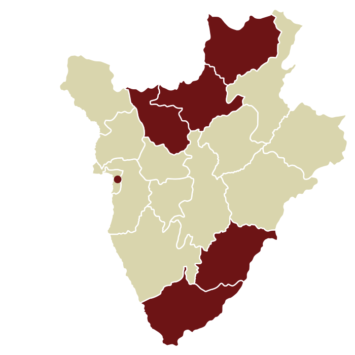 carte du togo