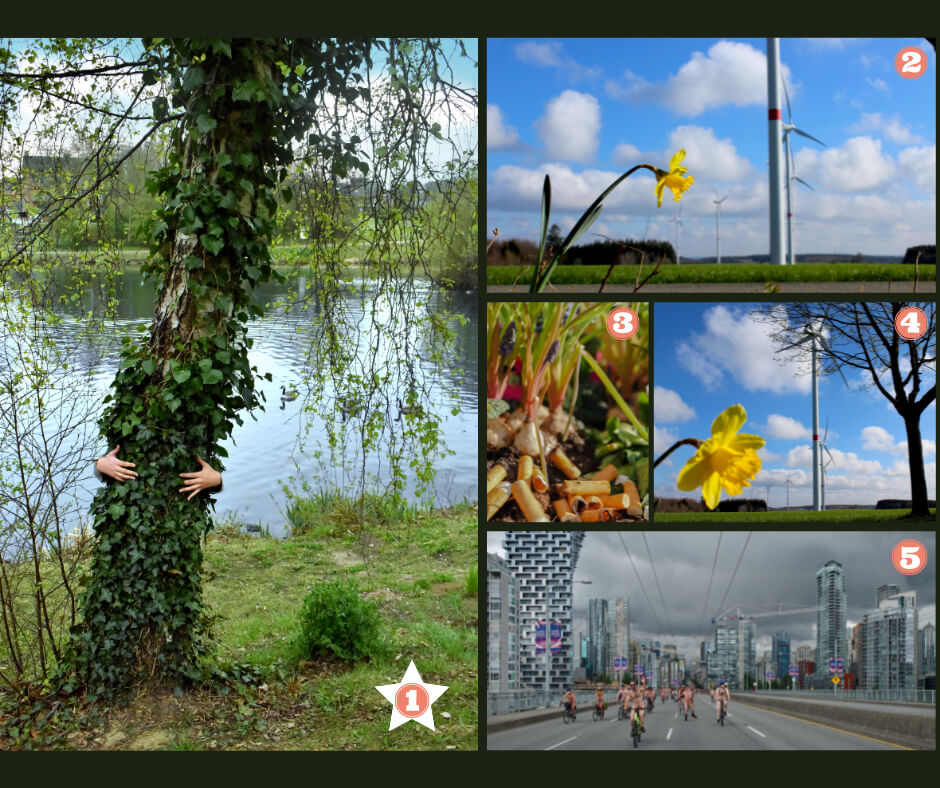 gagnant concours photo
