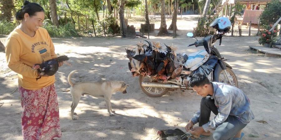 Cambodge : microcrédit, quel avenir ?