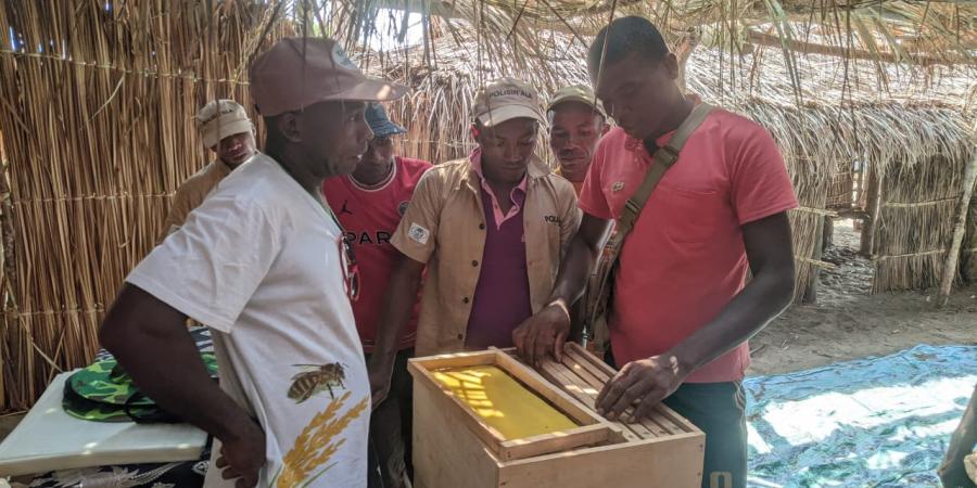apiculture
