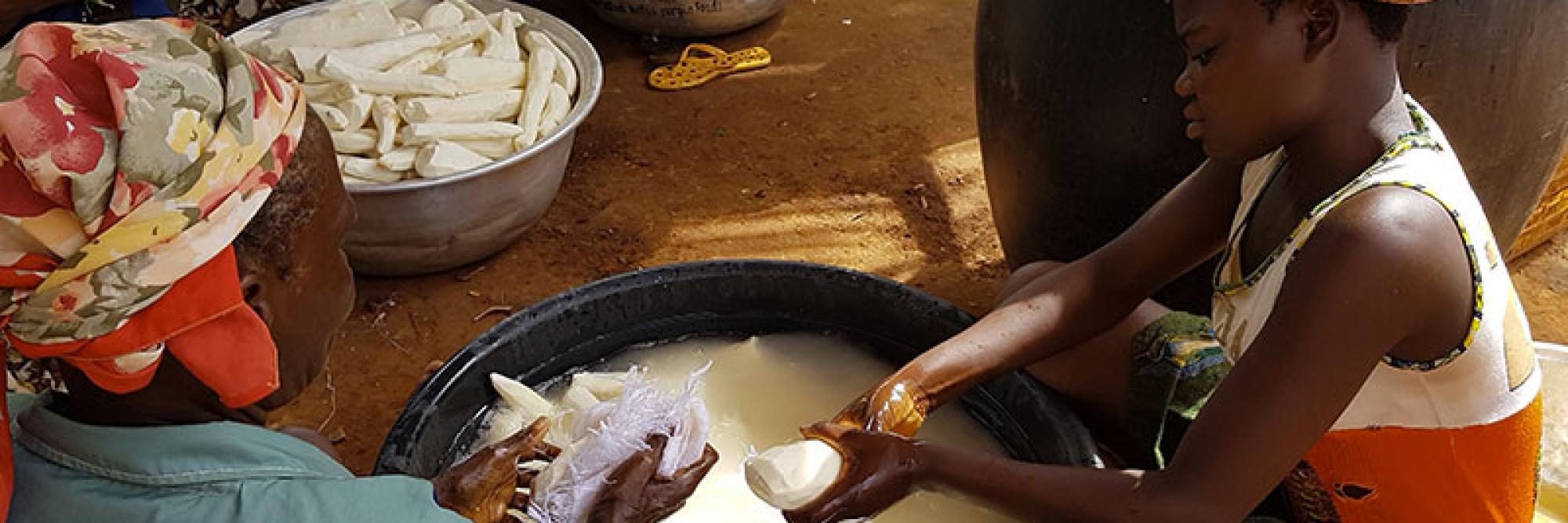 Sécurité alimentaire et économique