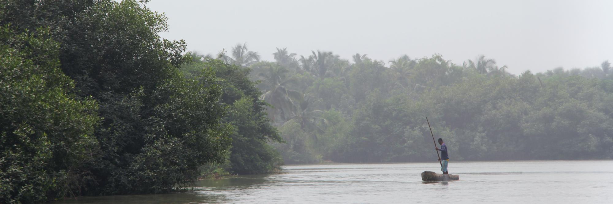 Mangroves