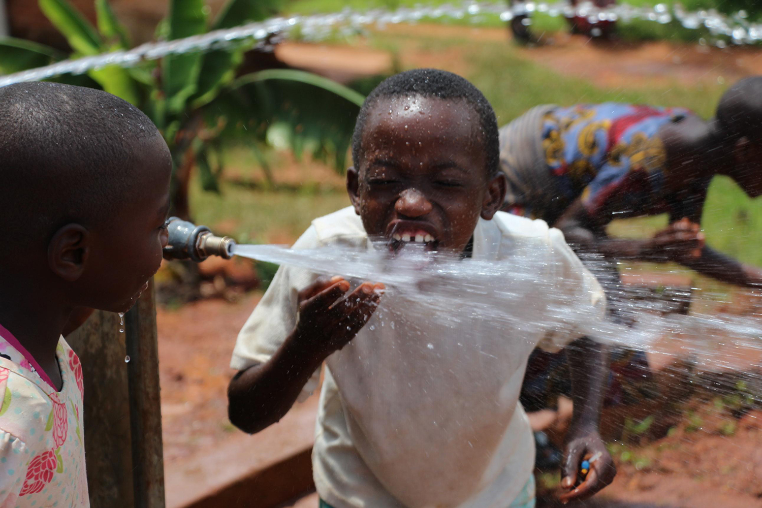 Support for civil society active in the fields of the environment and biodiversity