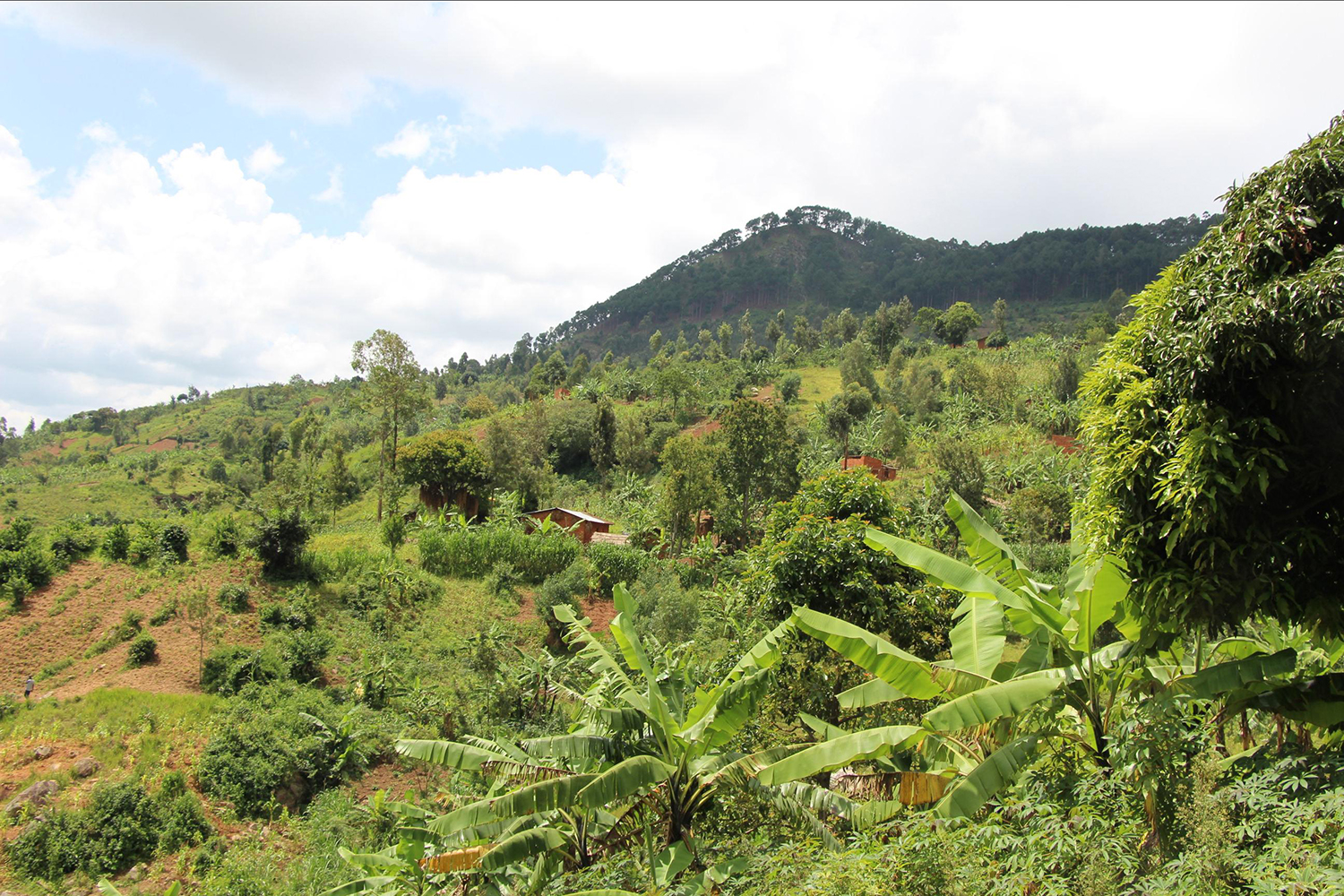 The context in Burundi